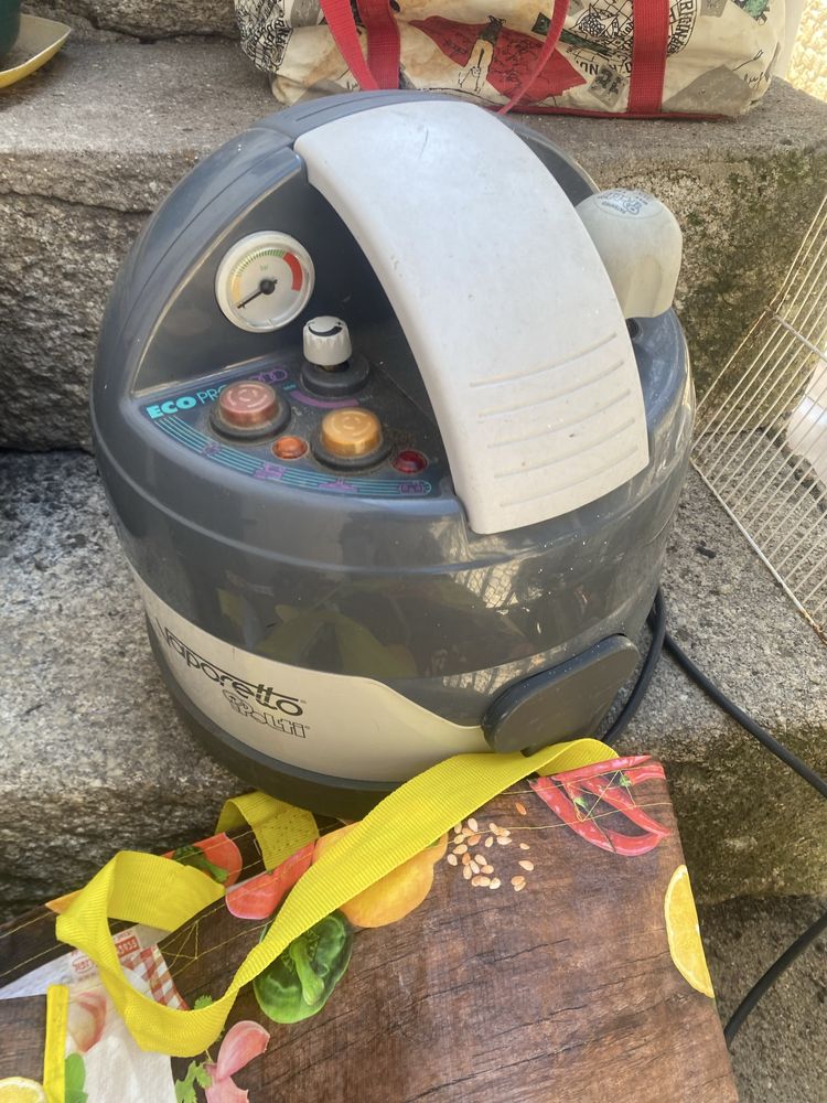 Aspirador Vaporetto polti eco pro 3000