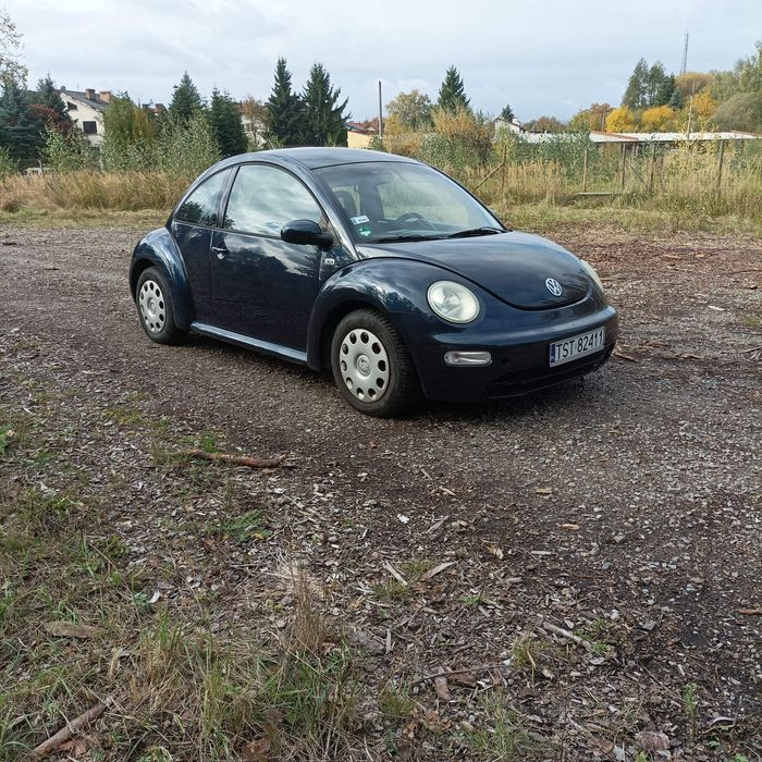 Volkswagen New Beetle