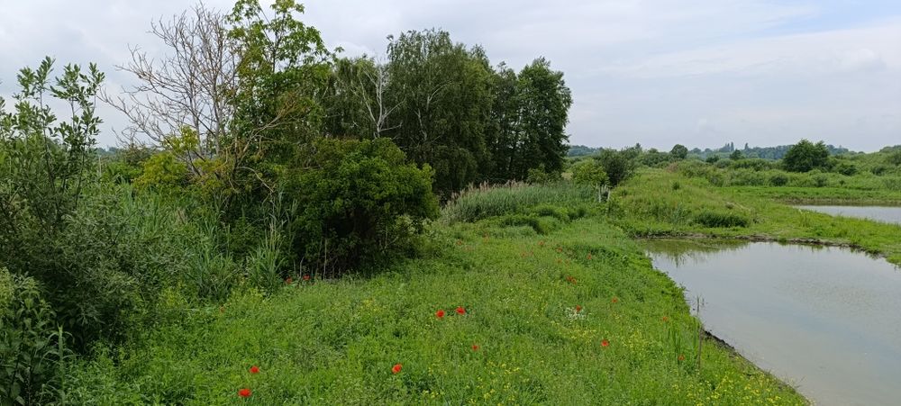 м. Рожище, Земельна ділянка.