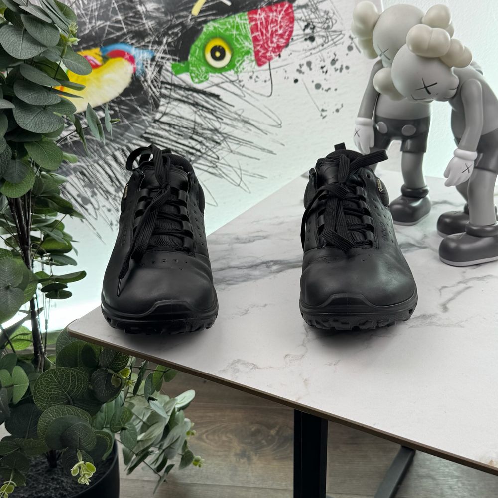 Кросівки шкіряні Ecco Biom Gore Tex 43 розмір 4901