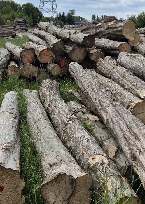 DĄB, Sezonowane Drewno kominkowe, do kominka, do pieca, woj. Łódzkie