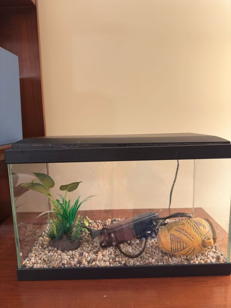 Aquario 20 Litros com Led e acessórios