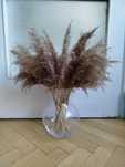Boho trawa pampasowa 50-60 cm