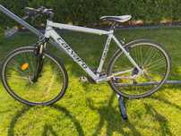 Rower trekkingowy Calvaro
