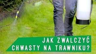 Opryski drzew i krzewów, opryski na komary i kleszcze, chwasty,mech