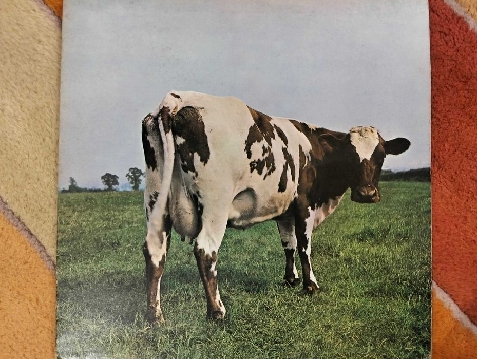 Pink Floyd - conjunto de 9 discos (LPs, CDs e DVDs)