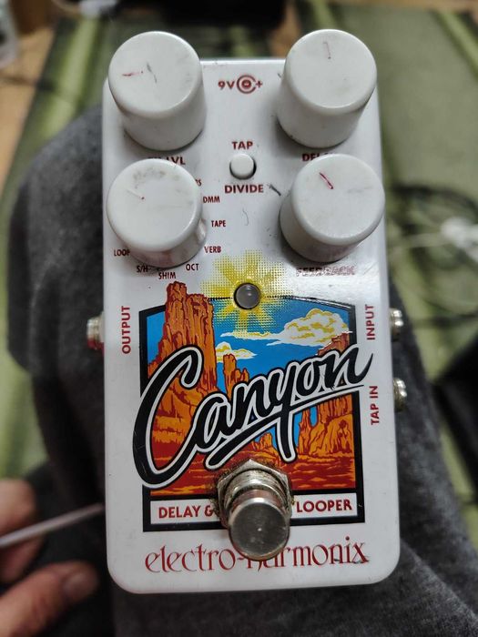 Гітарна педаль Electro-Harmonix Canyon Delay & Looper