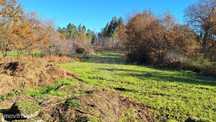 Terreno  para venda