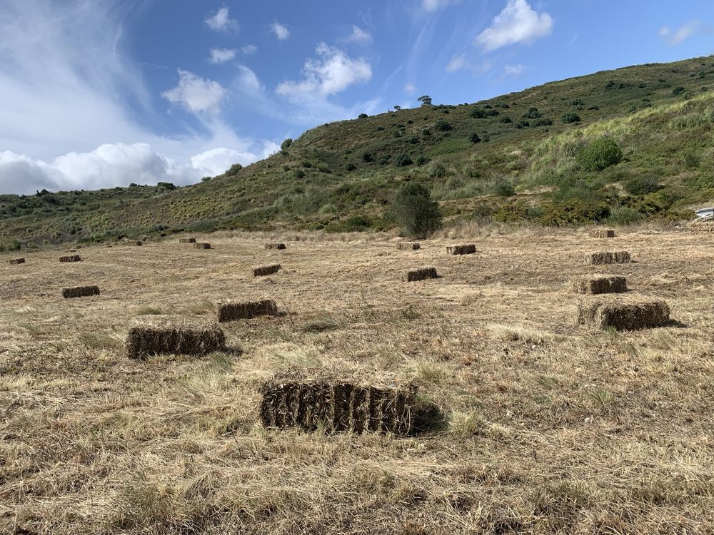 Vende QUINTA “Terra da Costa” 18980 mts