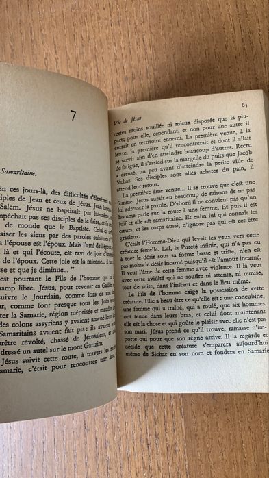 Vie de Jésus (Perspective non-chrétienne)
