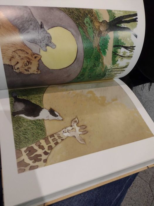 Maria Augusta Silva - Poetas Visitados 1ª Edição