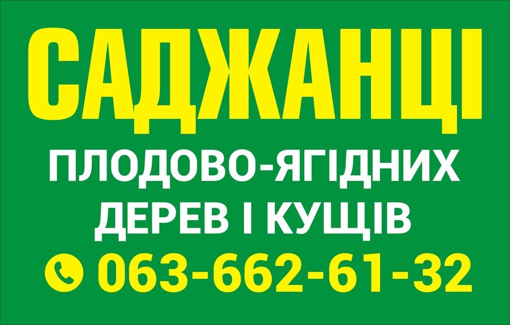 Саджанці плодових дерев і кущів