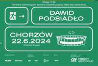 2 bilety na koncert Dawid Podsiadło - Stadion Śląski