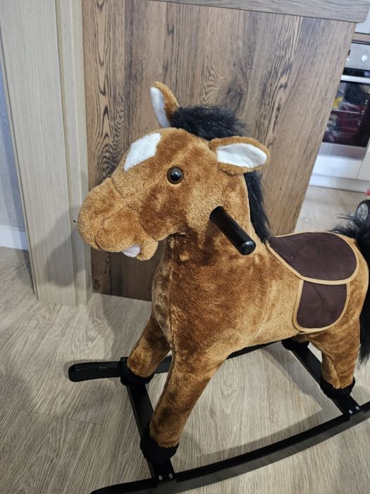 Konik na biegunach.