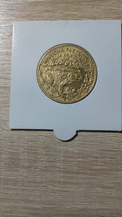 Moneta 2zł ropucha paskówka 1998
