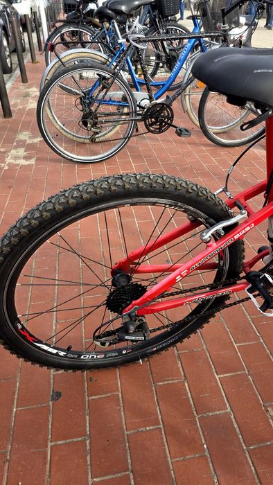 Bicicleta da montanha