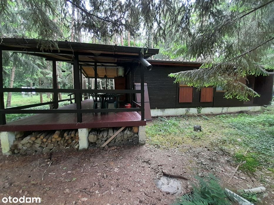 Domek rekreacyjny 55m2+35m2taras/działka 3134m2/Wilkowyja