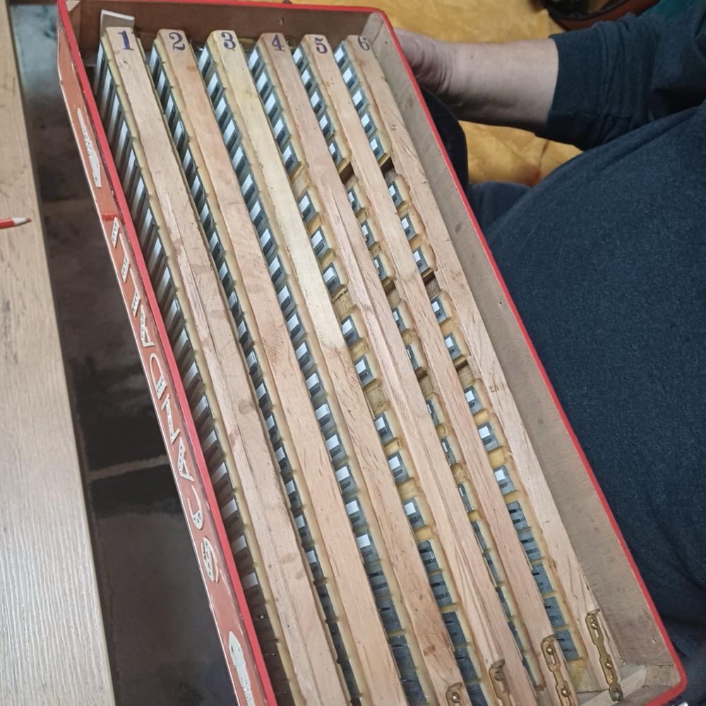 Akordeon włoski scandalii 6 chórów 120 basów