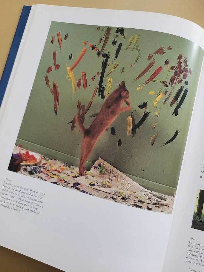 Why cats paint. A theory of feline aesthetics H. Busch B.Silver