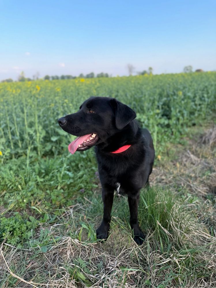 Runner szuka swojego spokojnego kąta