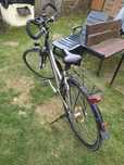 Rower trekingowy damski Tourrex