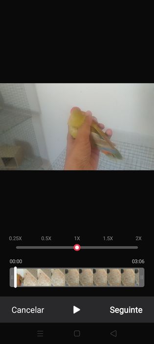 Agapórnis criados à mão