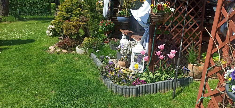 Działka ROD nad jeziorem Koskowickim