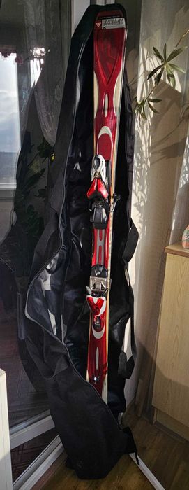 Лижі+палки+чохол