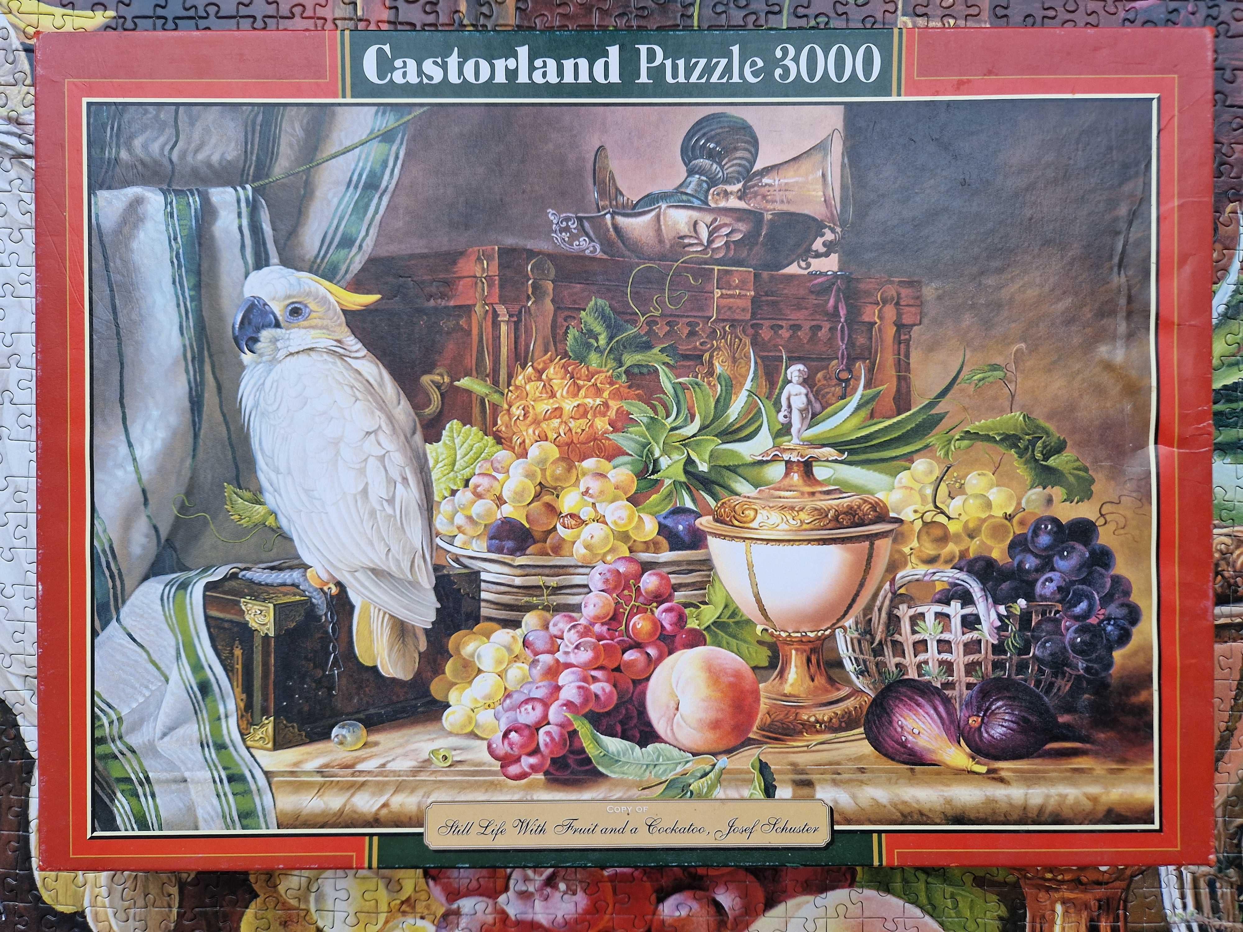 puzzle Castorland 3000