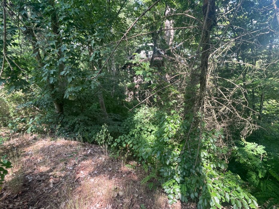 Działka leśna/budowlana Kębliny ul. Grzybowa