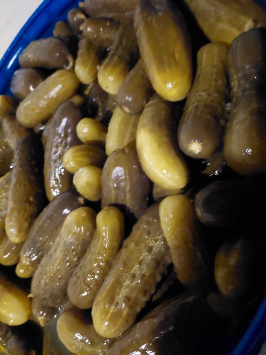 Kapusta kiszona bez konserwantów oferta hurtowa