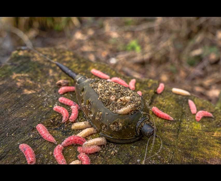 Koszyk zanętowy Korum Camo Window Feeder - 20g