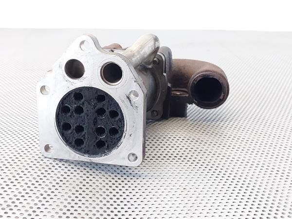 Radiador de gases / EGR RENAULT Megane II (BM0/1_, CM0/1_)