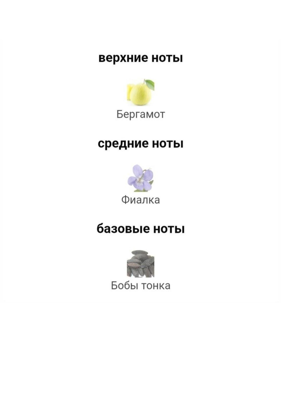 Туалетна вода бренду Stradivarius
