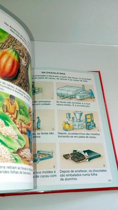 Dicionário por imagens da Quinta