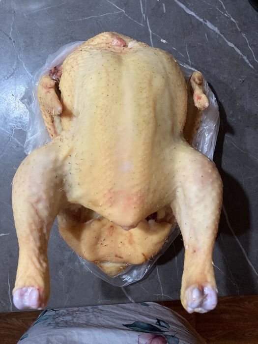 Продам Курицю домашню