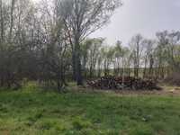 Oddam drewno za darmo Jasło, Gądki okolica ul. Lawendowej około 20m3
