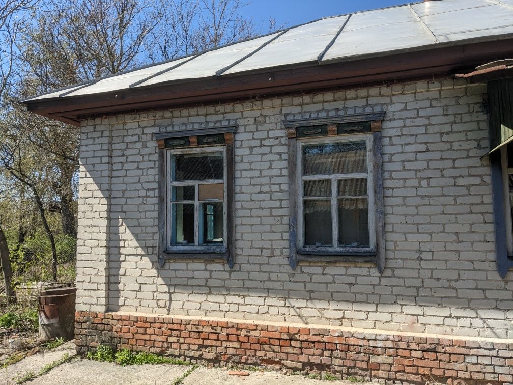 Продам будинок + землю біля Батурина (c. Красне) з електрикою