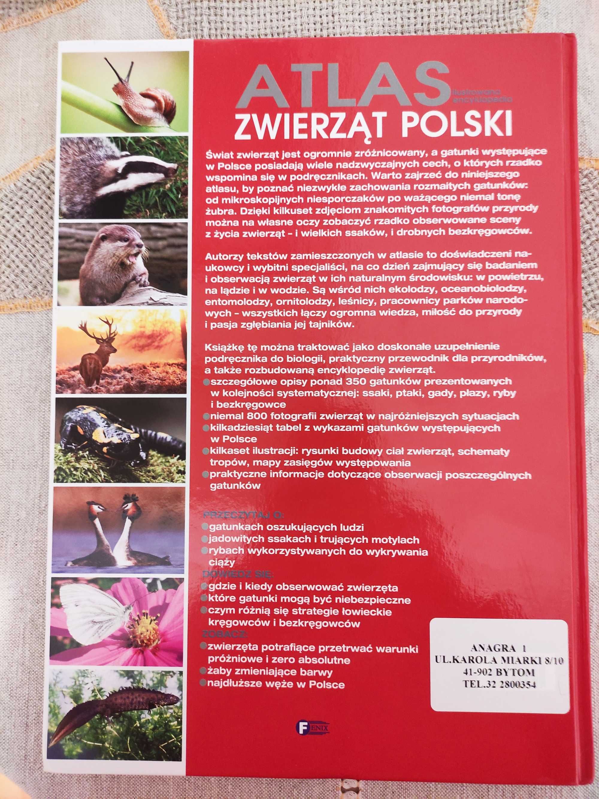 **Atlas zwierząt Polski, ilustrowana encyklopedia**