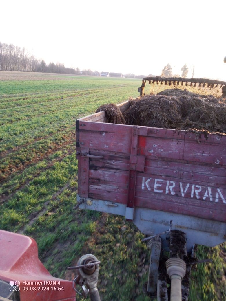 Obornik koński z głębokich stajni z transportem