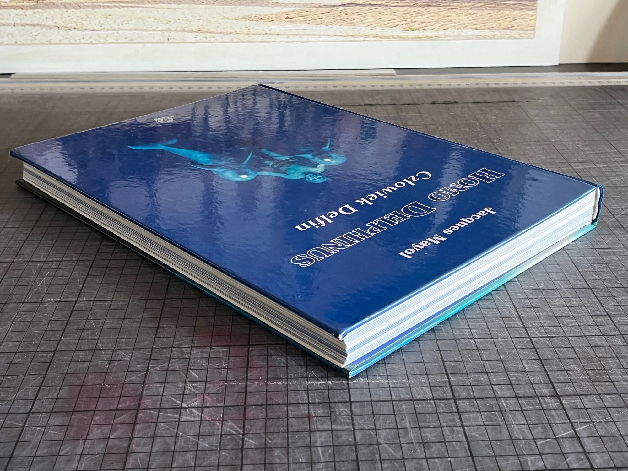 Człowiek delfin Homo Delphinus Jacques Mayol