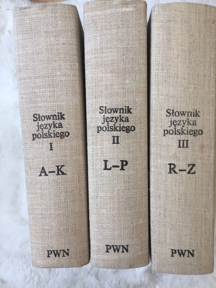 Słownik języka polskiego PWN