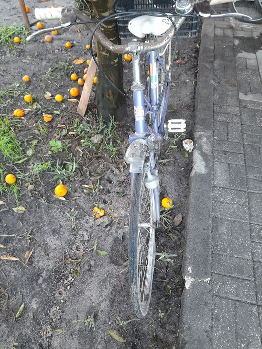 bicicletas uma de senhora,uma de senhor