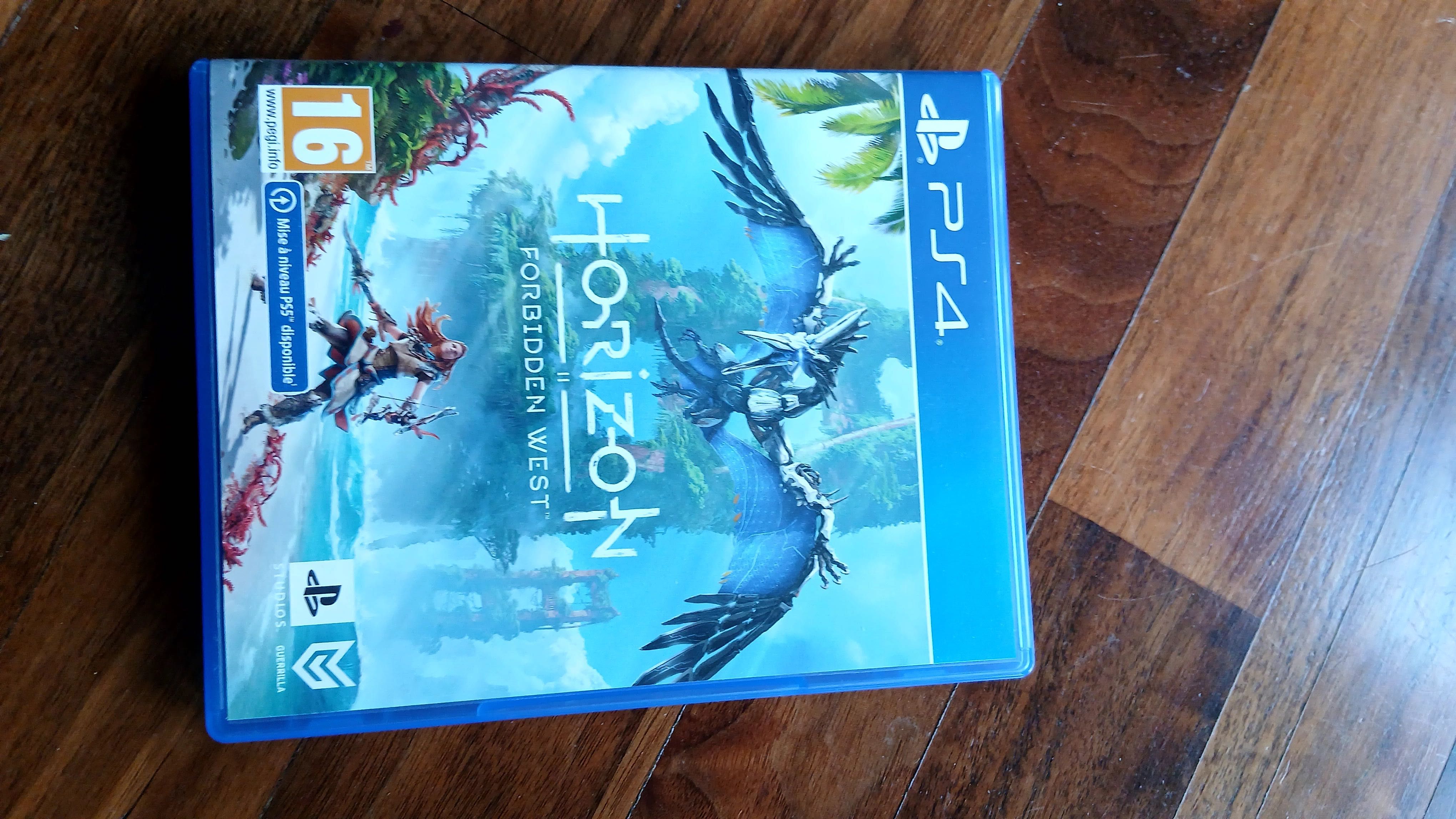 gra playstation 4/5