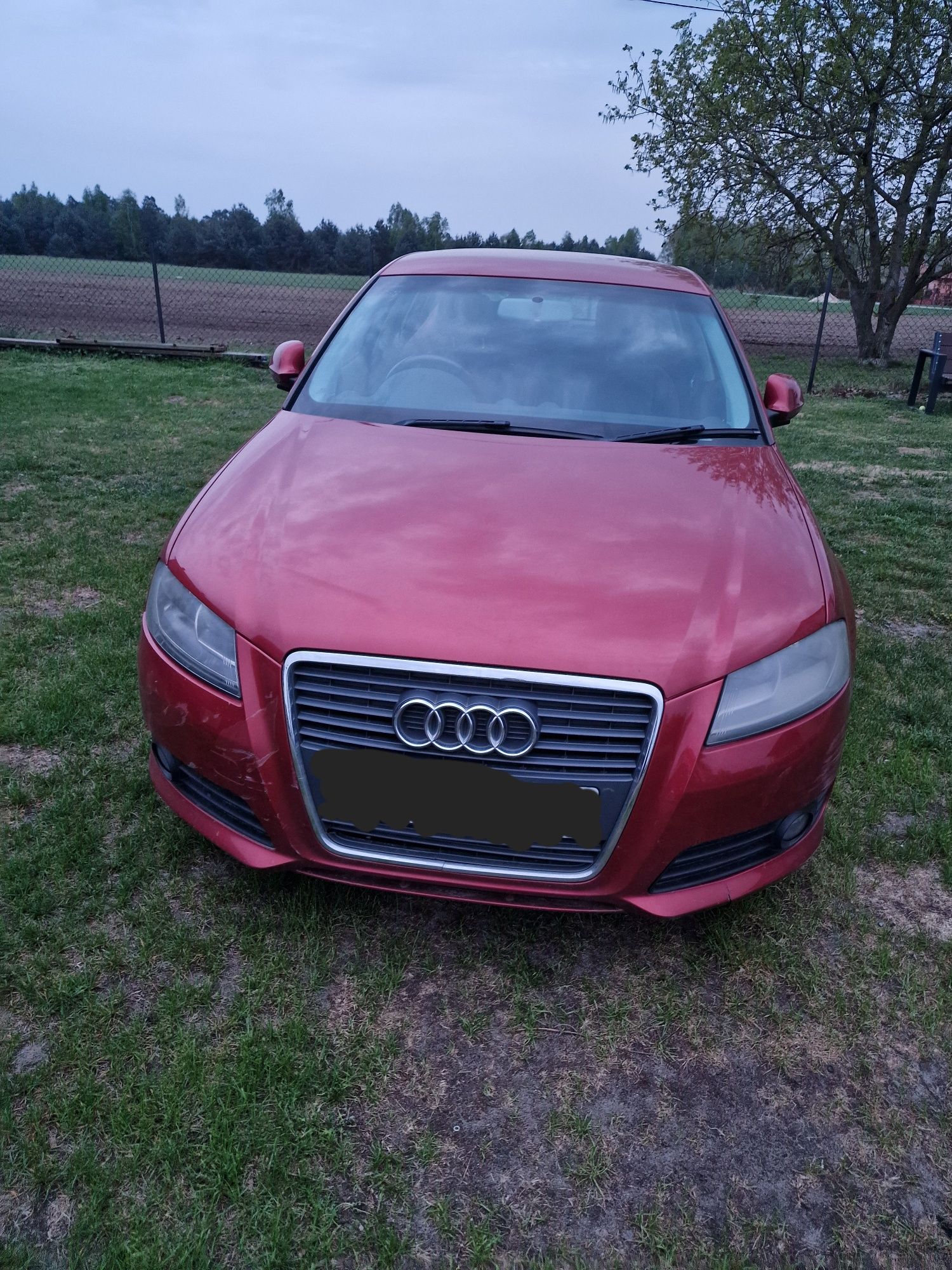 Kompletny przod audi a3 8p ll lift