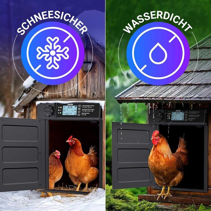 Automatyczne Drzwi Do Kurnika Otwieranie Drzwi Z Timerem Metalowe