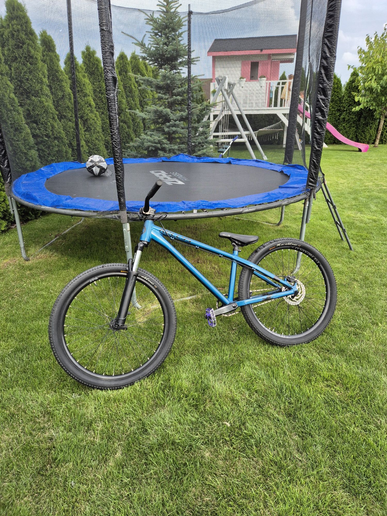 Rower Dirt Kellys whip 50 (custom)