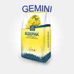 Rzepak ozimy HR Strzelce MONOLIT Kepler Neon Chrobry na 3ha zaprawiane