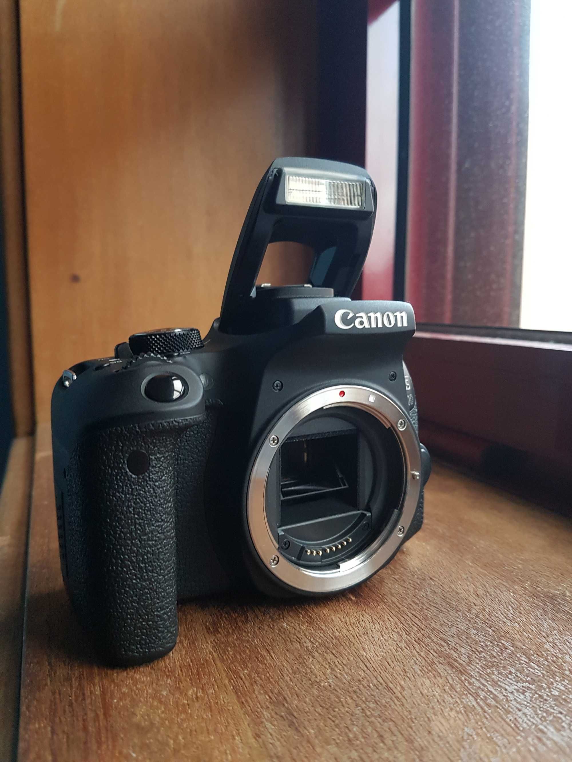 Canon 800D [Corpo]