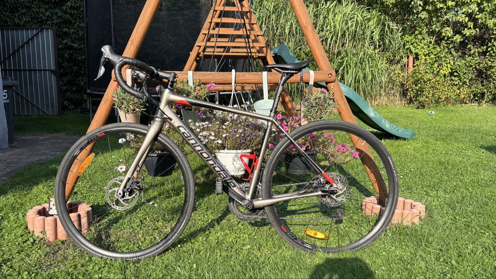 Cannondale synapse
